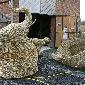 IMG_2602.jpg - 16/46